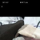 왈츠 동물병원 이미지