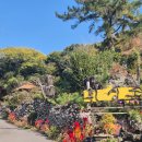 가자남쪽나라 이미지