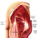 몸바른한의원 이미지