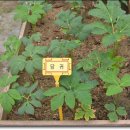 신성농장 이미지