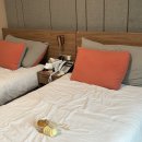 스위트나리산후조리원 이미지