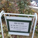 하늘꿈터
