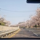 황토방모텔 | 창녕부곡온천축제에서 무료족욕, 계란시식, 손빈아 축하공연 본 후기