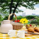 주식회사 누리숲 이미지