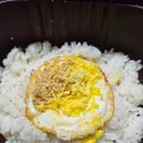 본죽 엔 비빔밥 네이버블로그
