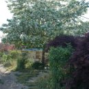 은행정농장 이미지