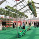 그늘막129 이미지