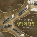 개미어린이집 이미지