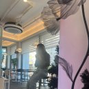 셀렉커피랩 부평점 이미지