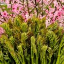 원순농장 이미지