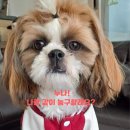 검단복지회관(1) 이미지