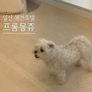 프롬몽쥬 이미지