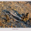 산성의 아침 이미지