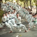 강화 태권도장 이미지