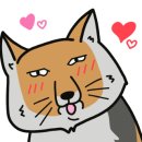 고바슨 익산전주팰리스점 이미지