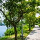 무지개 중원 이미지