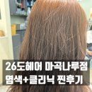 쉼표솔하우스 | [마곡역미용실] 26도헤어 마곡나루역점 톤다운염색과 클리닉 후기