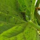 중리할머니경로당 이미지