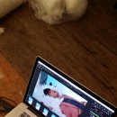 이슈헤어 네이버블로그