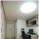 다비드리빙텔