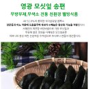 [영광 모시송편] 천년의빛 영광의 맛좋은 모시떡 / 찐송편,생송편, 개떡 이미지