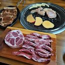 온힐펫 | 참숯향 가득한 곳에서 야식 파티 즐긴 썰