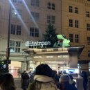 gold dog | [비엔나] 비트징거: 오스트리아 핫도그 맛집 | 웨이팅꿀팁 | 메뉴추천 | 주문방법 | 육식맨맛집 |