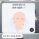 [주간 리포트] 25주 임산부/우리 아기 100일 깨졌다!/ 컬러초점책 완성/임신당뇨검사 준비