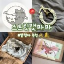 디자인파파 | 삼재를 막고 행운을 가져오는 스트릿캣파파 말편자 구매 후기｜이사선물, 개업선물, 수험생선물 추천!