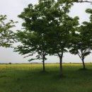 황산보건지소 이미지