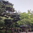 경기도 수원시 권선구 권중로 171 이미지