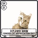 디자인 오늘 이미지