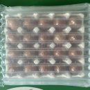 봄양계장 이미지