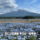 파니투어 | 일본 도쿄 마이리얼트립 인디고트래블 후지산 1일 투어 내돈내산 후기(feat.좐박가이드님🤸‍♂️)