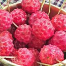 성주봉자연휴양림 야영장 이미지