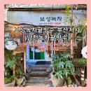 남천1-212 | [부산] 이국적 느낌의 싱그러운 식물이 가득한 팥빙수 맛집 '보성녹차팥빙수 부산지사(남천녹차팥빙수)'