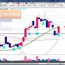 주식회사 엠에스씨 티스토리