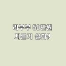 라부부 인형에 50만원 쓴 사람의 솔직한 후기 (장점, 단점)