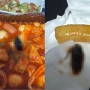 삼첩분식 - 창원시 마산합포구 월영동15길 9 | 삼첩분식