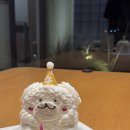 쏠리조(SORRISO)