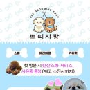 쁘띠샤방 Daum카페