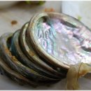 오렌지 수산 이미지