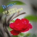 오늘의운세 - 4월6일 이미지