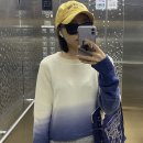 미그웨치 이미지
