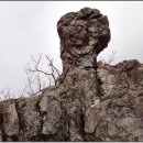 만덕3동-6 이미지