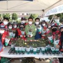 포항상생숲길 이미지