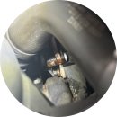 수컷웅샵 이미지