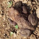 팔봉농장 이미지