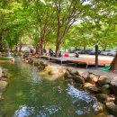 아카시아펜션 이미지