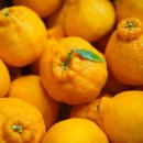 대은농장 이미지